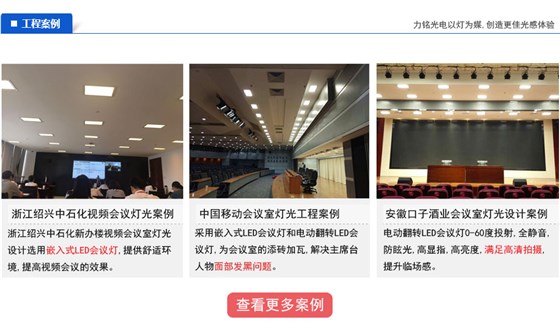 嵌入式LED會議燈工程案例 嵌入式LED會議燈工程案例